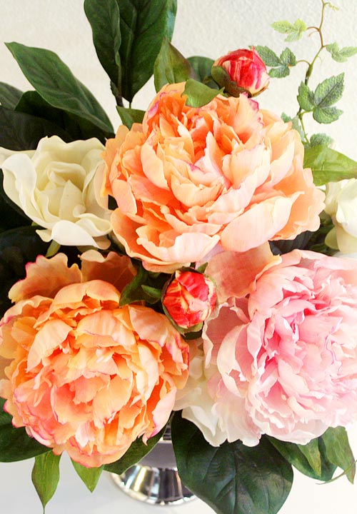 2010-B1-005_2.jpg