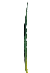 20404688_o1.jpg